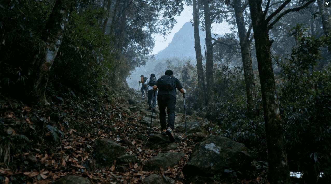 提升访问速度：哪个VPN网页加速器靠谱